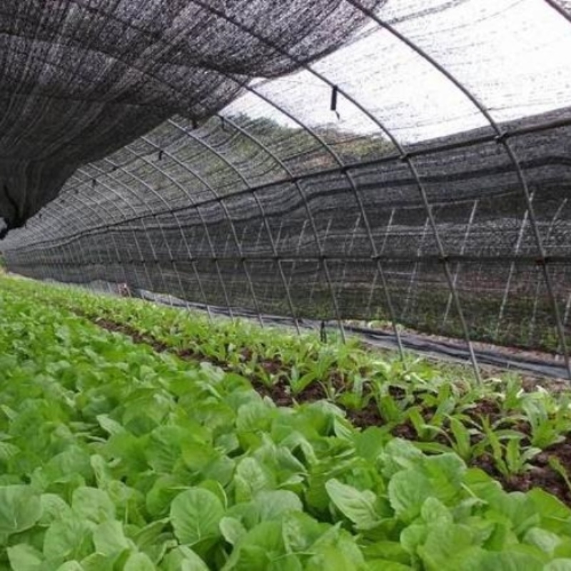 Stosowanie siatki cieniującej jesienią i zimą