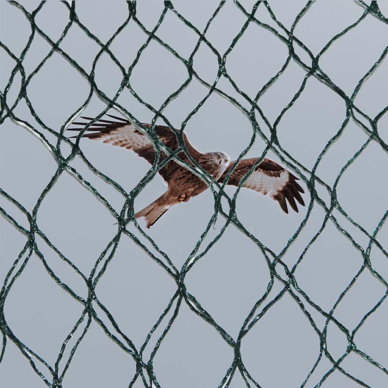 Jakie są rodzaje materiałów oraz zalety i wady siatek chroniących przed ptakami?