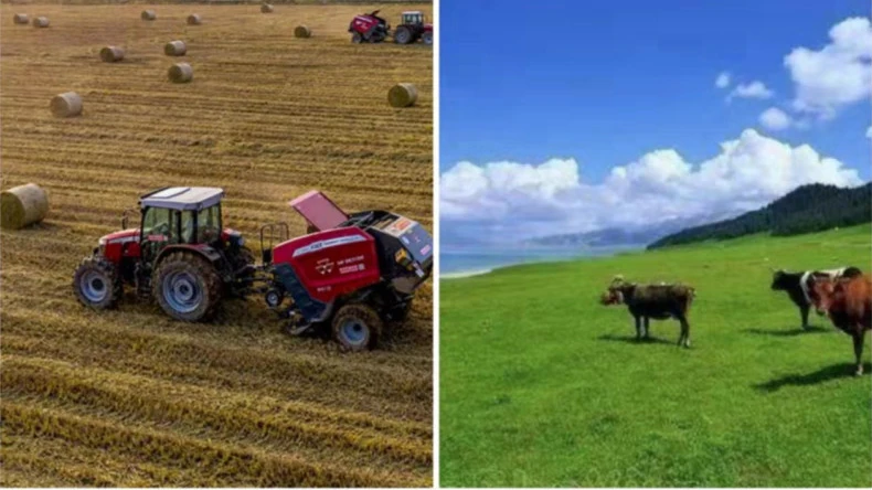 Zastosowanie owijania siatką na bele w działalności rolniczej