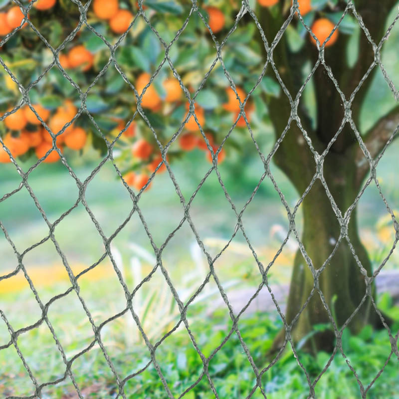 Siatki dla ptaków, bariery dla zwierząt