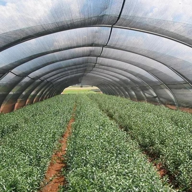 Ogrodowa ściereczka przeciwsłoneczna dla roślin blokująca 40% światła słonecznego